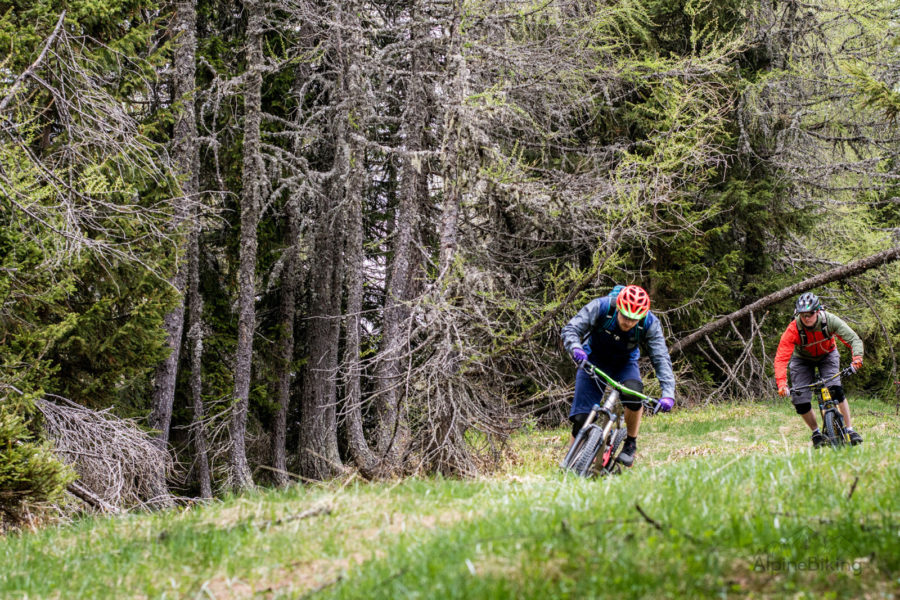 Beim Gralhof-Bike-Camp mitten im Naturpark