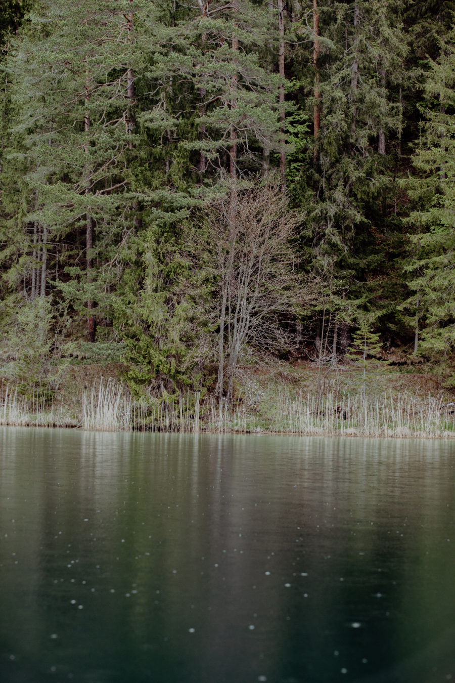 Wandern am See entlang