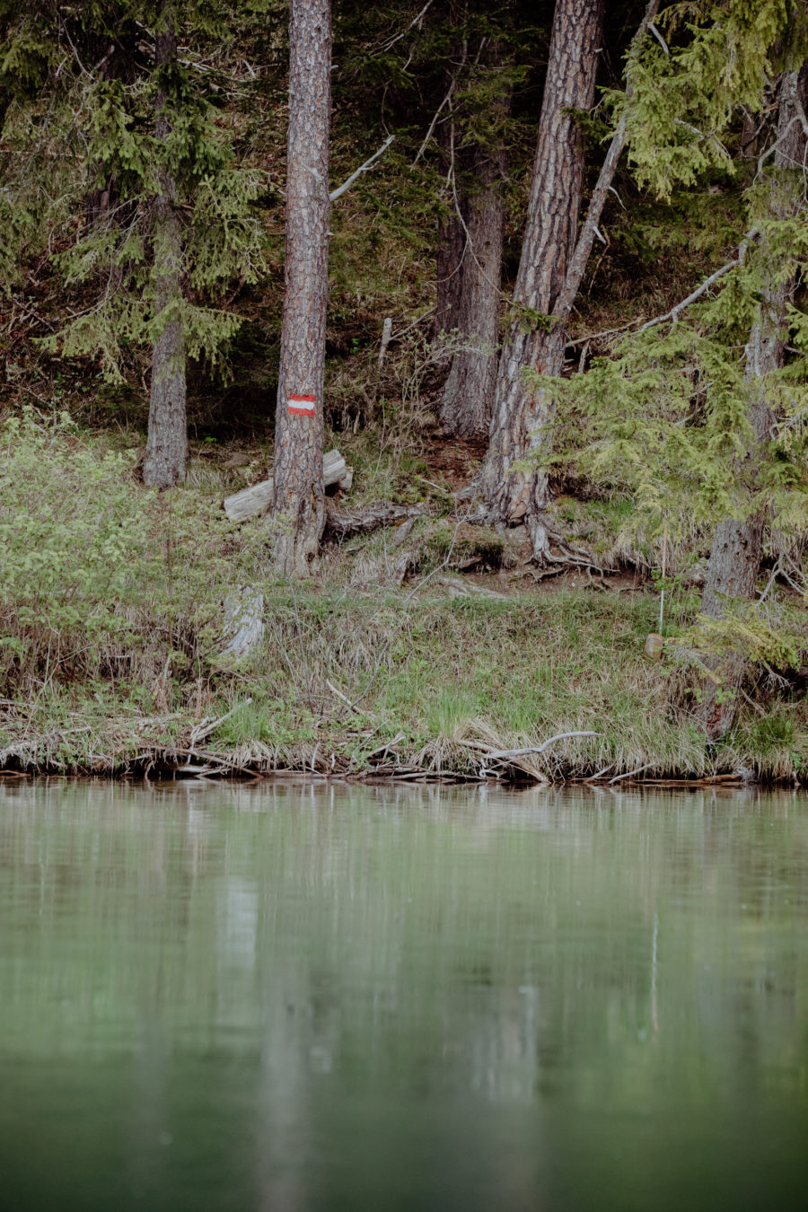 Naturpark Weissensee