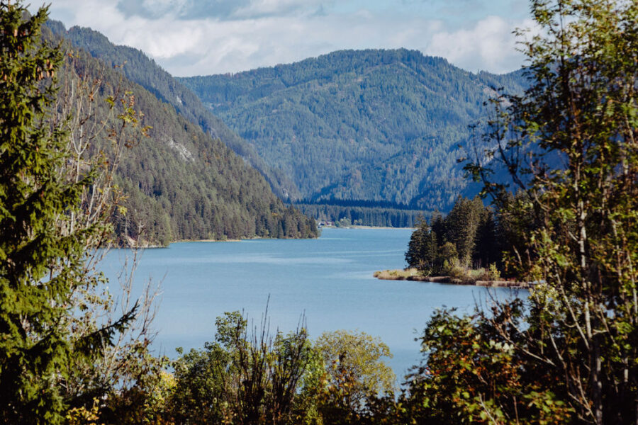 Gralhof_herbst_2019-129_M