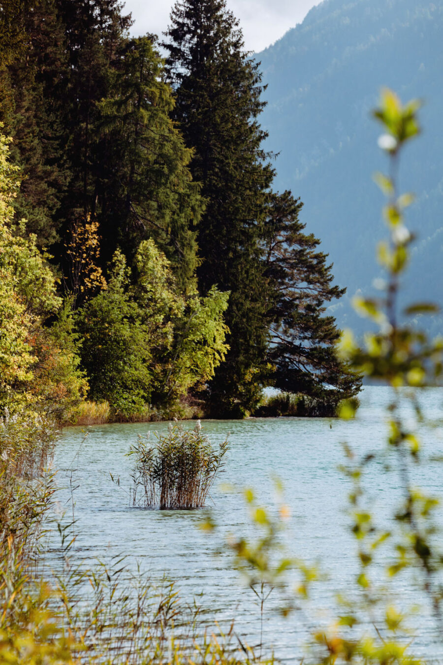 Gralhof_herbst_2019-250_M