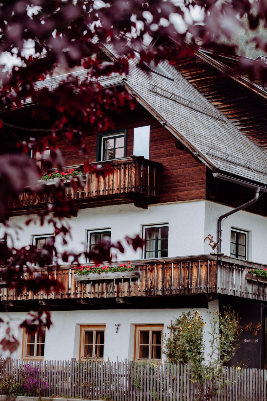 Gralhof_herbst_2019-35_M