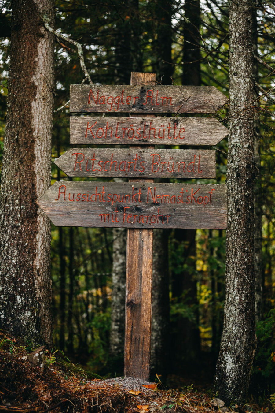 Gralhof_herbst_2019-436_M
