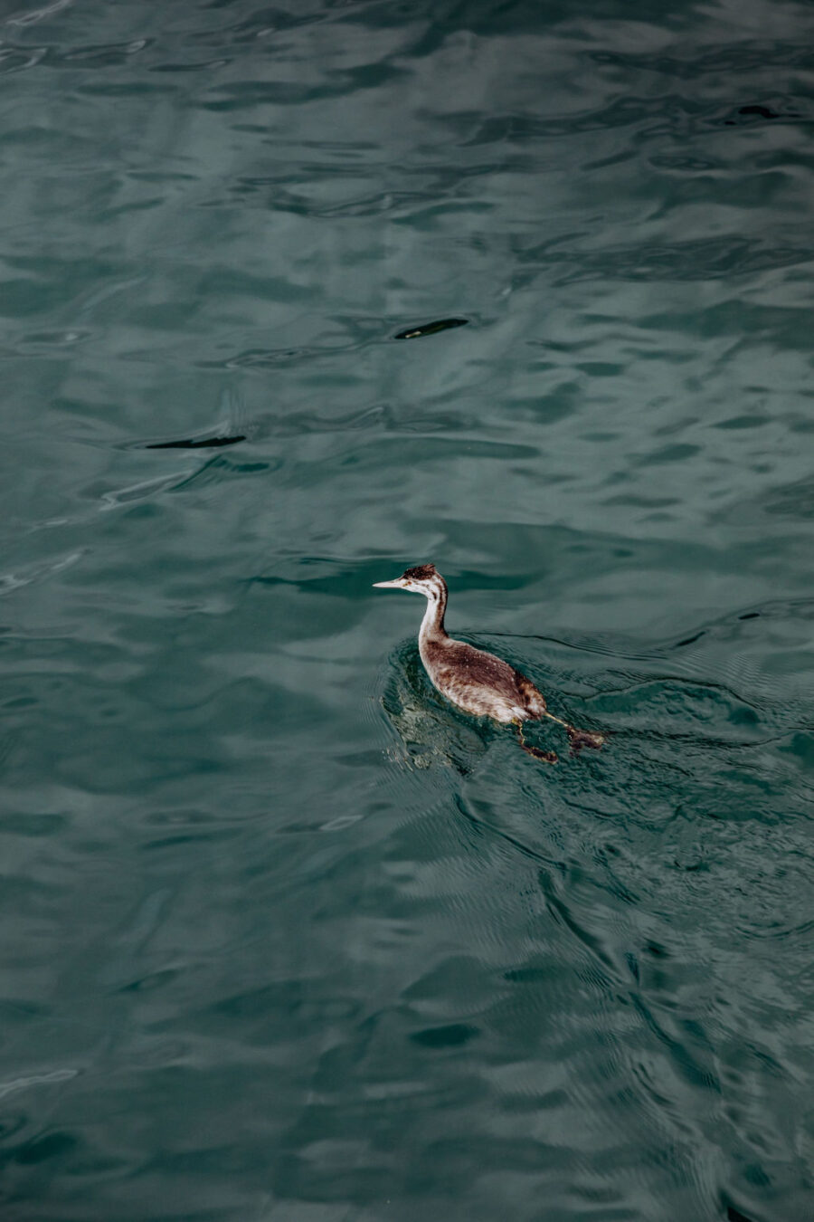 Gralhof_herbst_2019-86_M